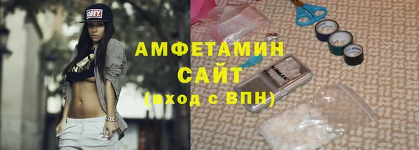 прущие грибы Алзамай