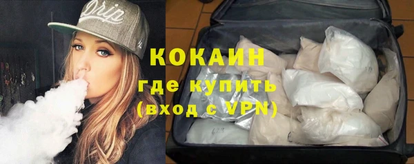 прущие грибы Алзамай