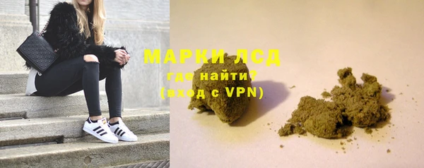 прущие грибы Алзамай