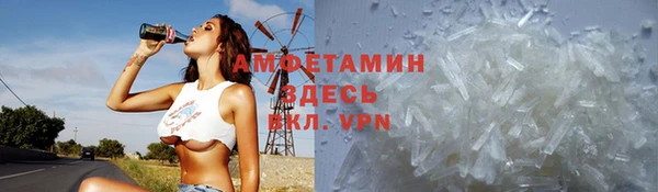 прущие грибы Алзамай