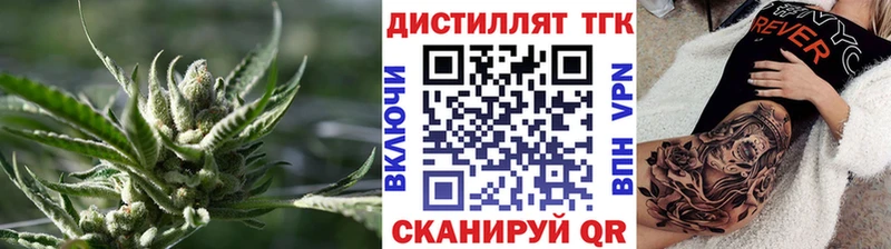 дарнет шоп Нефтекумск ТГК концентрат