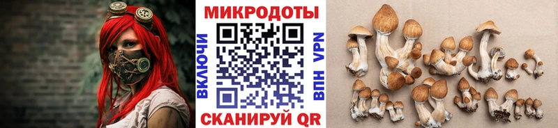 цена Нефтекумск Псилоцибиновые грибы ЛСД