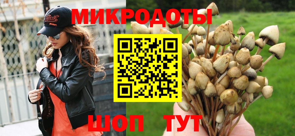 Галлюциногенные грибы GOLDEN TEACHER  Вход с VPN  Нефтекумск 